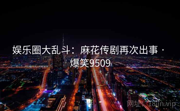 娱乐圈大乱斗：麻花传剧再次出事 · 爆笑9509