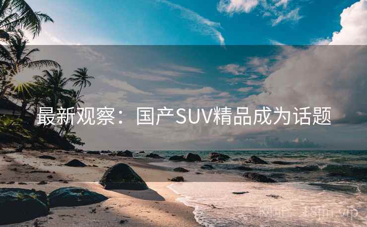 最新观察：国产SUV精品成为话题